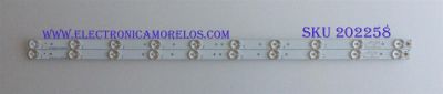 KIT DE LED´S PARA TV ( 2 PIEZAS ) / APEX / 3BL-T6254102-21 / 2301032D900472 / PANEL HK315LEDM / MODELO LE32D5