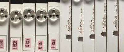 KIT DE LEDS PARA TV TOSHIBA (16 PIEZAS) / SV550AA0 / SV550AA0_REV04_L-TYPE_130710 / SV550AA0_REV04_R-TYPE_130710 / PANEL LC550DUK (SG)(K2) / 55L7500U - Imagen 3